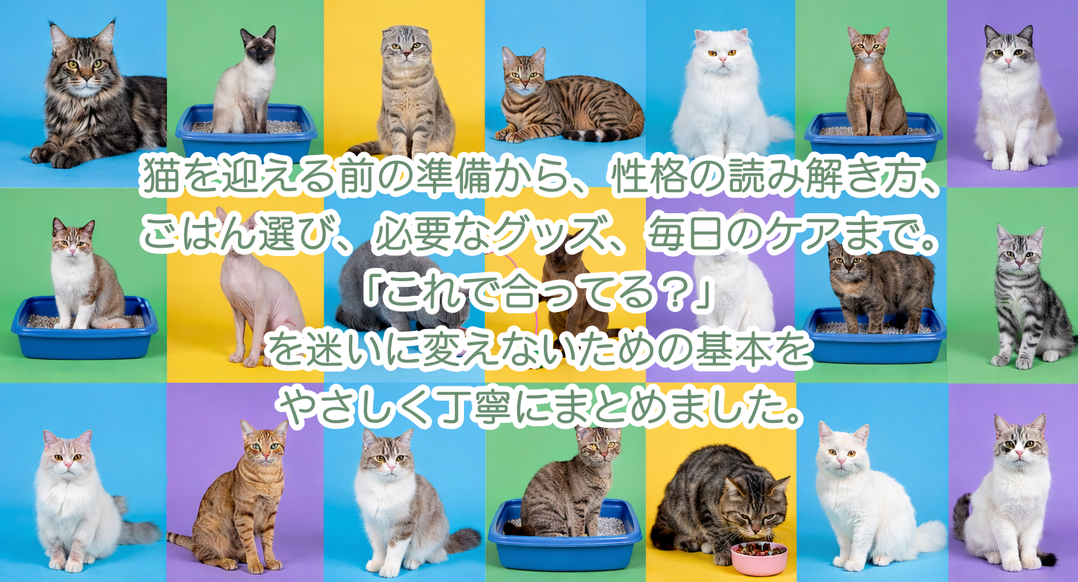 ねこの飼い方図鑑｜初めてでも大丈夫。暮らし・健康・しつけの基本