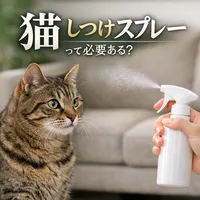 猫 しつけ スプレーって必要ある？