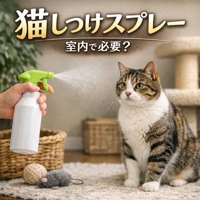 猫 しつけ スプレー 室内で必要？