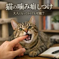 猫 噛む しつけ 大人は可能？