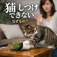 猫 しつけ できない なぜなの？