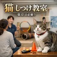 猫 しつけ教室 東京は必要？