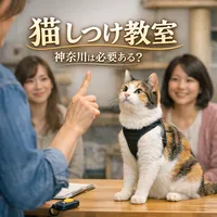 猫 しつけ教室 神奈川は必要ある？