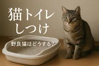 猫 トイレ しつけ 野良猫はどうする？